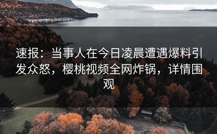 速报：当事人在今日凌晨遭遇爆料引发众怒，樱桃视频全网炸锅，详情围观