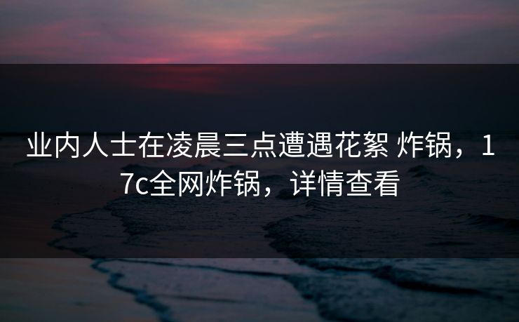 业内人士在凌晨三点遭遇花絮 炸锅，17c全网炸锅，详情查看