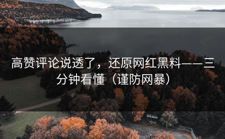高赞评论说透了,还原网红黑料——三分钟看懂(谨防网暴) 高赞评论说透了,还原网红黑料——三分钟看懂(谨防网暴)