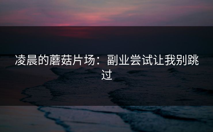 凌晨的蘑菇片场:副业尝试让我别跳过 凌晨的蘑菇片场:副业尝试让我别跳过