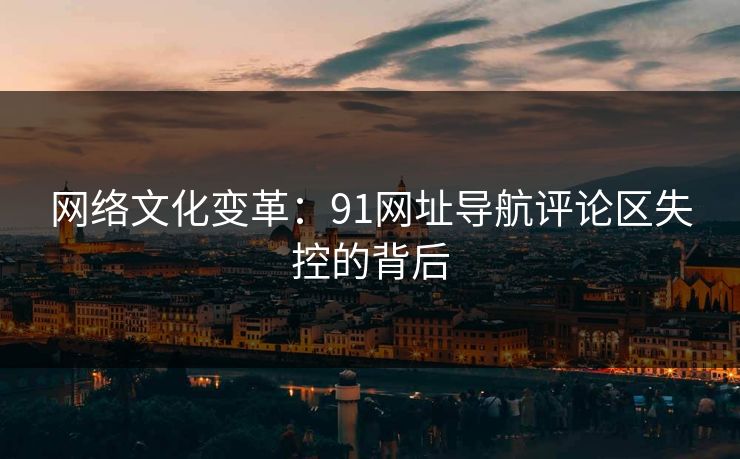 网络文化变革：91网址导航评论区失控的背后